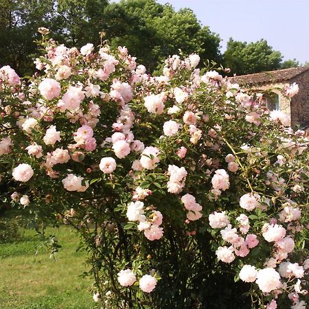 La Pierrerie Otel Grimaud Dış mekan fotoğraf