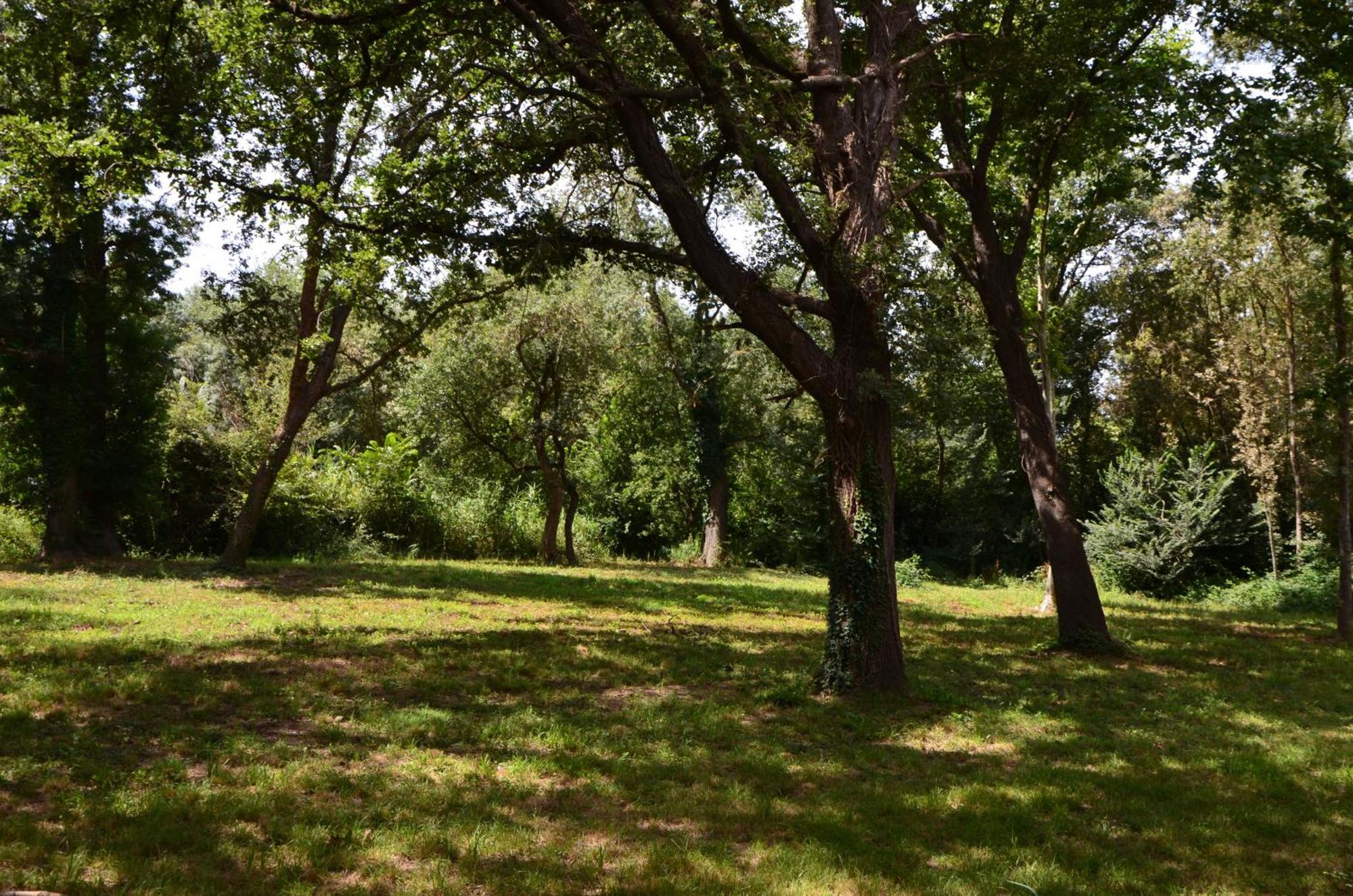 La Pierrerie Otel Grimaud Dış mekan fotoğraf